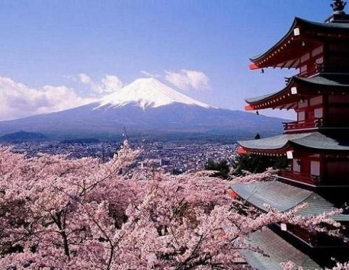 Daily Learning - Japanese for Tourism